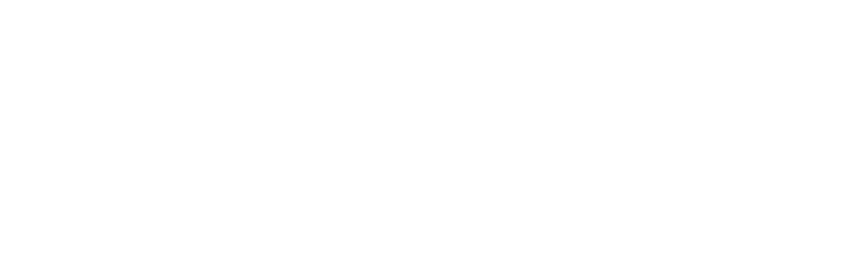 Liquide Logo